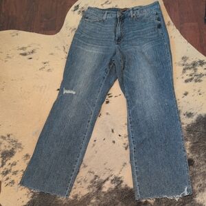 Judy Blue Straight Leg Denim Jeans